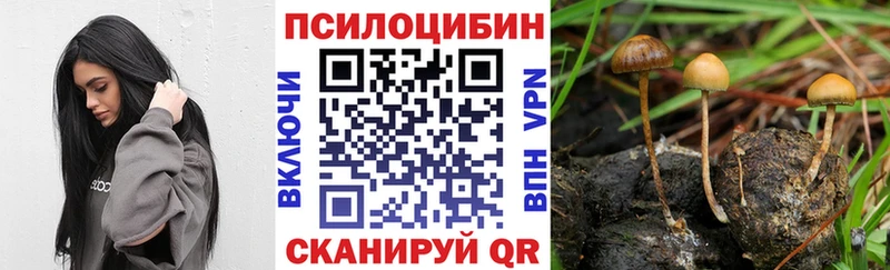что такое наркотик  omg рабочий сайт  Псилоцибиновые грибы Cubensis  Надым 